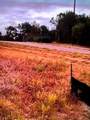 8113 Scotscraig Drive - Photo 3