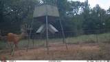 TBD Us 380 Highway - Photo 5