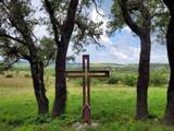 1395 Mountain Creek Road - Photo 8