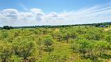 243 Dixie Road - Photo 15