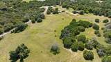 1037 County Road 1011 - Photo 9