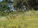 Lot 59 Bridgewater Boulevard - Photo 22