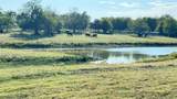 1258 County Road 352 Road - Photo 1