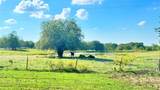 1258 County Road 352 Road - Photo 3