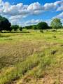 TBD 104 Acres Fm 103 - Photo 2