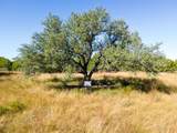 TBD County Road 160 - Photo 3