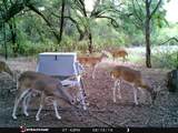 TBD Fm-1304 - Photo 36