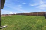 4109 Hydrangea Drive - Photo 25