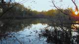 TBD County Road 4736 - Photo 1