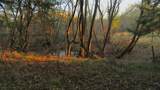 TBD County Road 4736 - Photo 4
