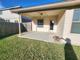 3217 Jackal Drive - Photo 16