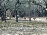 130 Winding Trail - Photo 39