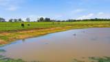 3601 Springfield Road - Photo 5