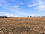 TBD County Road 643 - Photo 7