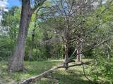 12335 County Road 4230 - Photo 35