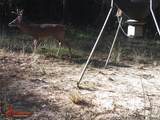 139 County Road - Photo 39