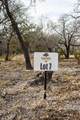 TBD Whitetail Trail - Photo 1