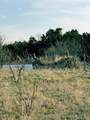 16061 County Road 107 - Photo 8