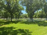5615 Equestrian Court - Photo 3