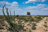 1,877 Acres Highway-67 - Photo 1