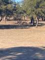 360 County Road 199 - Photo 20