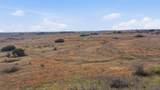 TBD County Road 343 - Photo 15