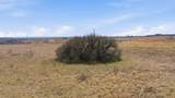 1838 County Road 343 - Photo 20