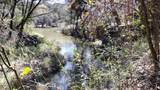 1011 Hidden Cove Trail - Photo 4