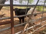 2548 County Road 2690 - Photo 27