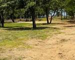 153 Catfish Trail - Photo 9