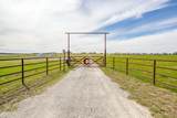 19611 County Line Road - Photo 9