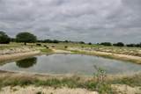 250 Cr 310 - Photo 5