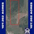198 County Road 259 - Photo 10