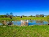 11918 Riek Road - Photo 5