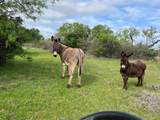2190 Fm 574 Road - Photo 16