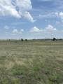 TBD LOT 1 Cr 3565 - Photo 5