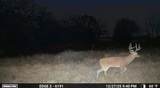 1561 Fm 934 - Photo 34