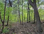 65 Lakewood Lane - Photo 8