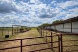 7355 County Road 456 - Photo 9