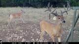 120 Private Road 2123 - Photo 40