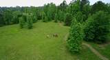 1085 Dukes Road - Photo 5
