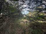 Lot 15R-2 Hout Bay Road - Photo 21