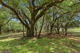 148 Arista Trail - Photo 38