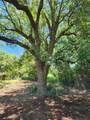 824 County Road 409 - Photo 15