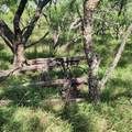 824 County Road 409 - Photo 22
