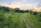 1343 County Road 188 - Photo 2