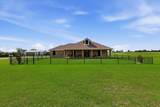 9909 County Road 309 - Photo 6