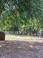1712 Wilson Road - Photo 26