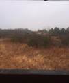 TBD County Road 103 - Photo 3