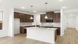 1645 Elle Lane - Photo 10